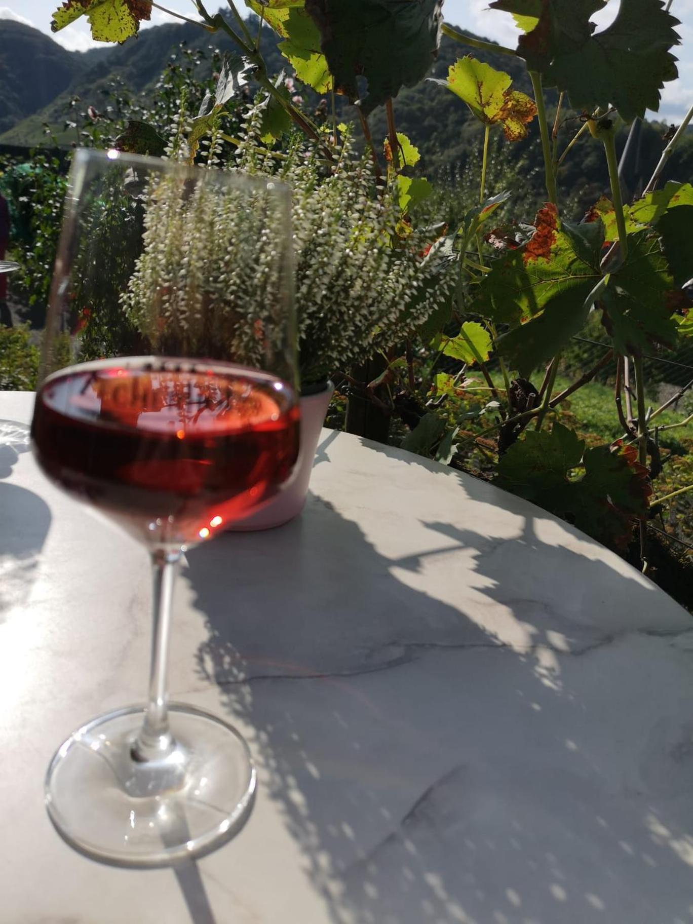 Homestay Gaestehaus Eulenkoepfchen Neef
